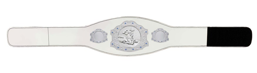 SILVER CHAMPIONSHIP BELT - XXLMIDI/G/MMAS - AVAILABLE IN 4 LEATHER COLOURS SILVER CHAMPIONSHIP BELT - XXLMIDI/G/MMAS - AVAILABLE IN 4 LEATHER COLOURS